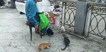 عم سعيد يطعم القطط بعد آذان المغرب