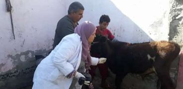 تطعيم الحيوانات