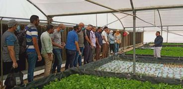 مبادرة «EYE» لتوعية الشباب بالزراعة المائية