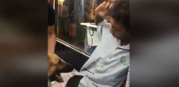 شاب يروع مواطن من ذوي الاحتياجات باستخدام كلبه
