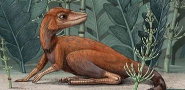 ديناصور كونغونافون كيلي