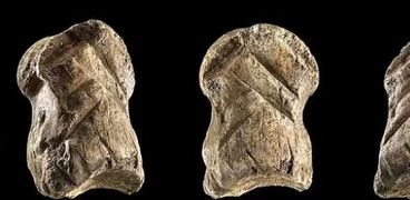 أقدم نقوش زخرفية في العالم على قدم غزال