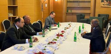 سامح شكري يعقد جلسة مباحثات مع وزير خارجية إريتريا