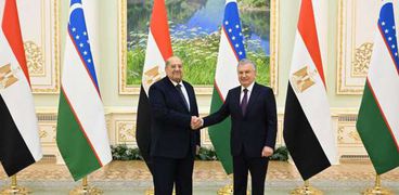 رئيس مجلس الشيوخ يلتقي رئيس جمهورية أوزباكستان