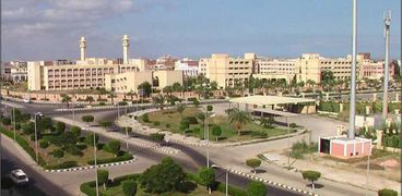 جامعة دمياط