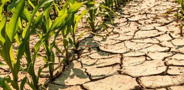 تأثير التغيرات المناخية على الأراضي الزراعية