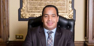 عبدالمنعم السيد رئيس مركز القاهرة للدراسات الاقتصادية