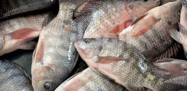 أسعار الأسماك داخل معارض أهلا رمضان بالشرقية