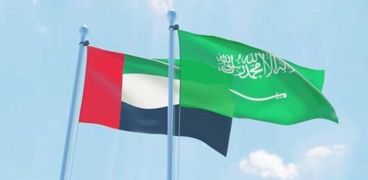 التنسيق العربي السعودي