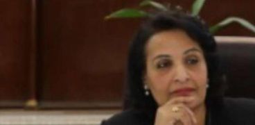 الدكتورة سعاد عبد الرحيم مديرة المركز القومى للبحوث الاجتماعية والجنائية