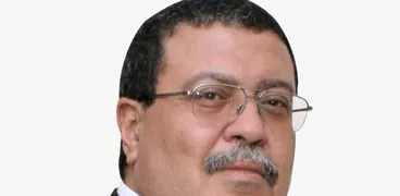 محمد فاروق ، رئيس لجنة السياحة الالكترونية بغرفة شركات السياحة