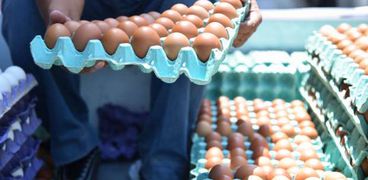 أسباب ارتفاع أسعار البيض