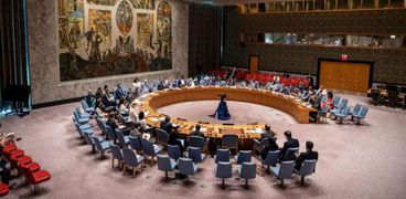 قرار مجلس الأمن الدولي
