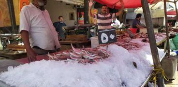 سوق السمك في دمياط
