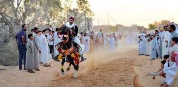 مهرجان الخيول التراثي بمدينة العلمين