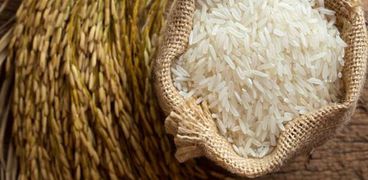 الأرز السائب- أرشيفية