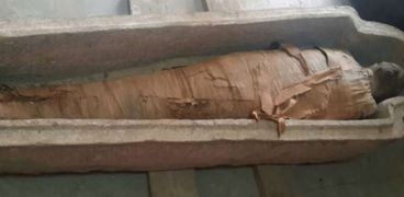 مومياء مصرية تثير حيرة علماء الآثار