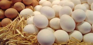 أسعار البيض اليوم الثلاثاء 4-4-2023- تعبيرية