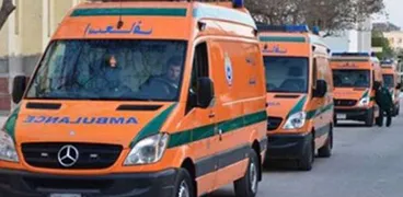 إسعاف الفيوم توفر 81 سيارة بالمناطق السياحية خلال أيام عيد الأضحى