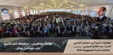 مؤتمر جماهيري في كفر الشيخ