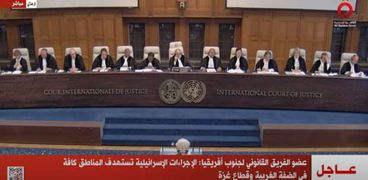جلسة العدل الدولية