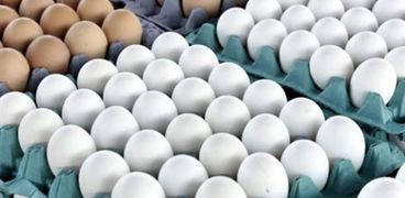 طبق البيض يستقر عند 115 جنيهاً حتى نهاية 2023