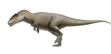 اكتشاف 6 ديناصورات في مصر قبل منصوراصورس
