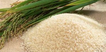 غرفة الحبوب: لازيادة في أسعار المكرونة..والأرز تراجع 10%
