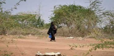 الجفاف في أحدى دول القرن الأفريقي