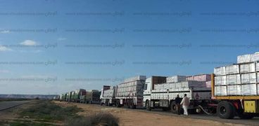 شاحنات نقل البضائع بالسلوم الى ليبيا