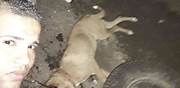 لقطة من فيديو لقتل أحد الكلاب