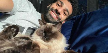 محمد صلاح مع قطته