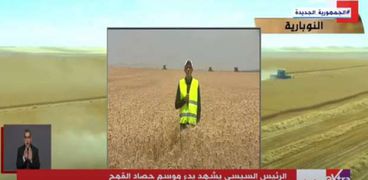 جانب من تفاصيل البث المباشر الذي شهده الرئيس السيسي بموسم حصاد القمح