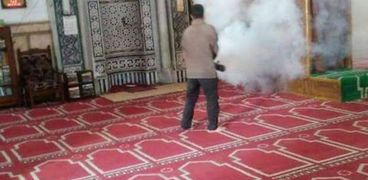 رش مساجد الإسكندرية بالمبيدات لمكافحة الباعوض استعدادًا لرمضان