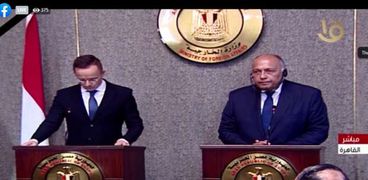 وزير الخارجية المصري ونظيره المجري