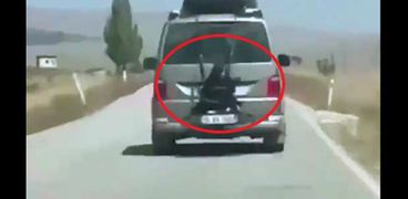 أب يربط ابنته خلف السيارة أثناء القيادة على الطريق السريع