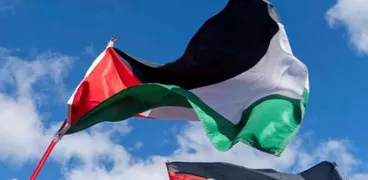 تضامنا مع فلسطين