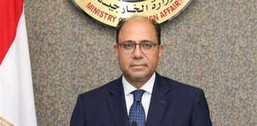 أحمد أبو زيد، المتحدث الرسمي باسم وزارة الخارجية