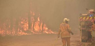 فرق الإطفاء اليونانية تكافح حريقا بغابة قرب قرية مطلة على البحر