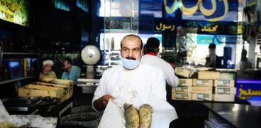 بيع الفسيخ والرنجة في أسواق الإسكندرية
