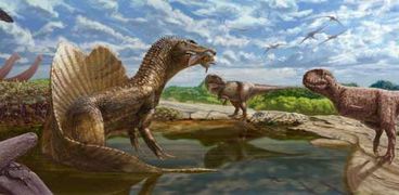 جانب من اكتشاف آثار ديناصورات