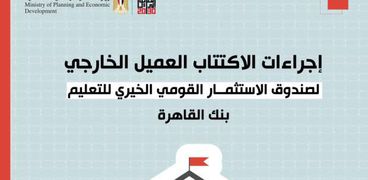 وزارة التخطيط توضح إرشادات الاكتتاب من خارج مصر