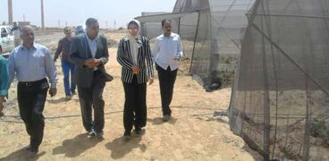 نائب محافظ الوادي الجديد تتفقد مشروع تدوير مخلفات النخيل بقرية الدهوس