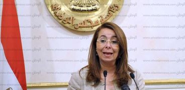 غادة والي، وزيرة التضامن الإجتماعي