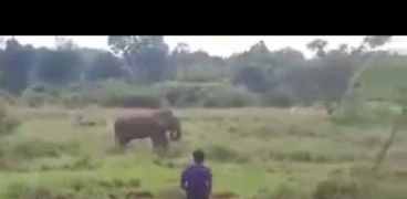 رجل حاول تنويم فيل مغناطيسيا فسحقه برجليه