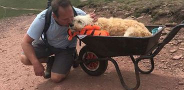 رجل يصطحب كلبه المحتضر إلى رحلة ترفيهية لقضاء أيامه الأخيرة: رحل في هدوء