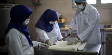 إنتاج أجبان تقي من هشاشة العظام في غزة المحاصرة
