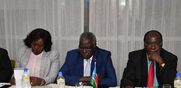 تيموثي توت شول، النائب الأول والقائم بأعمال رئيس برلمان جنوب السودان
