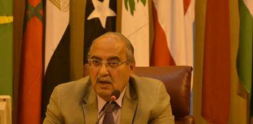 الدكتور مجدي علام أمين عام اتحاد خبراء البيئة العرب