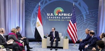 الرئيس السيسي يلتقي بوزير الخارجية الامريكي